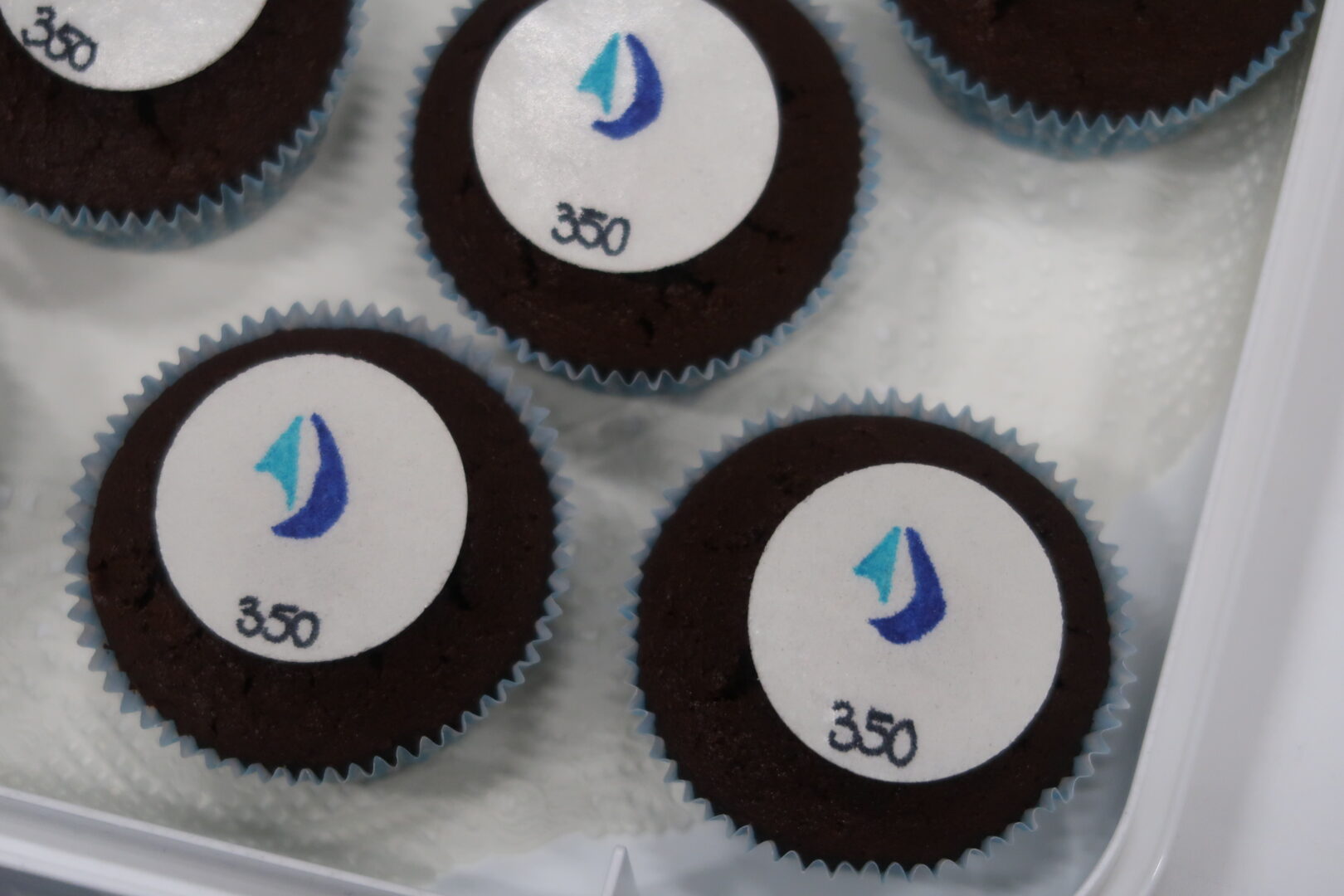 Viele Besucher bei Projektmesse zum Jubiläum