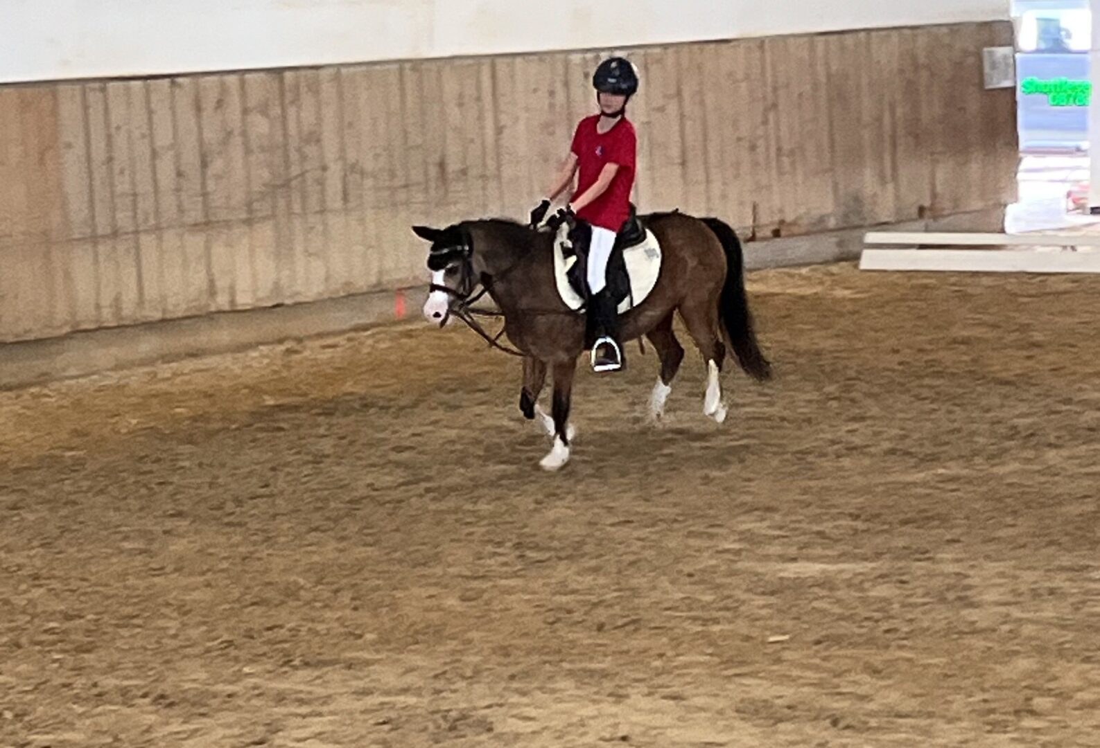 Im Galopp aufs Siegertreppchen