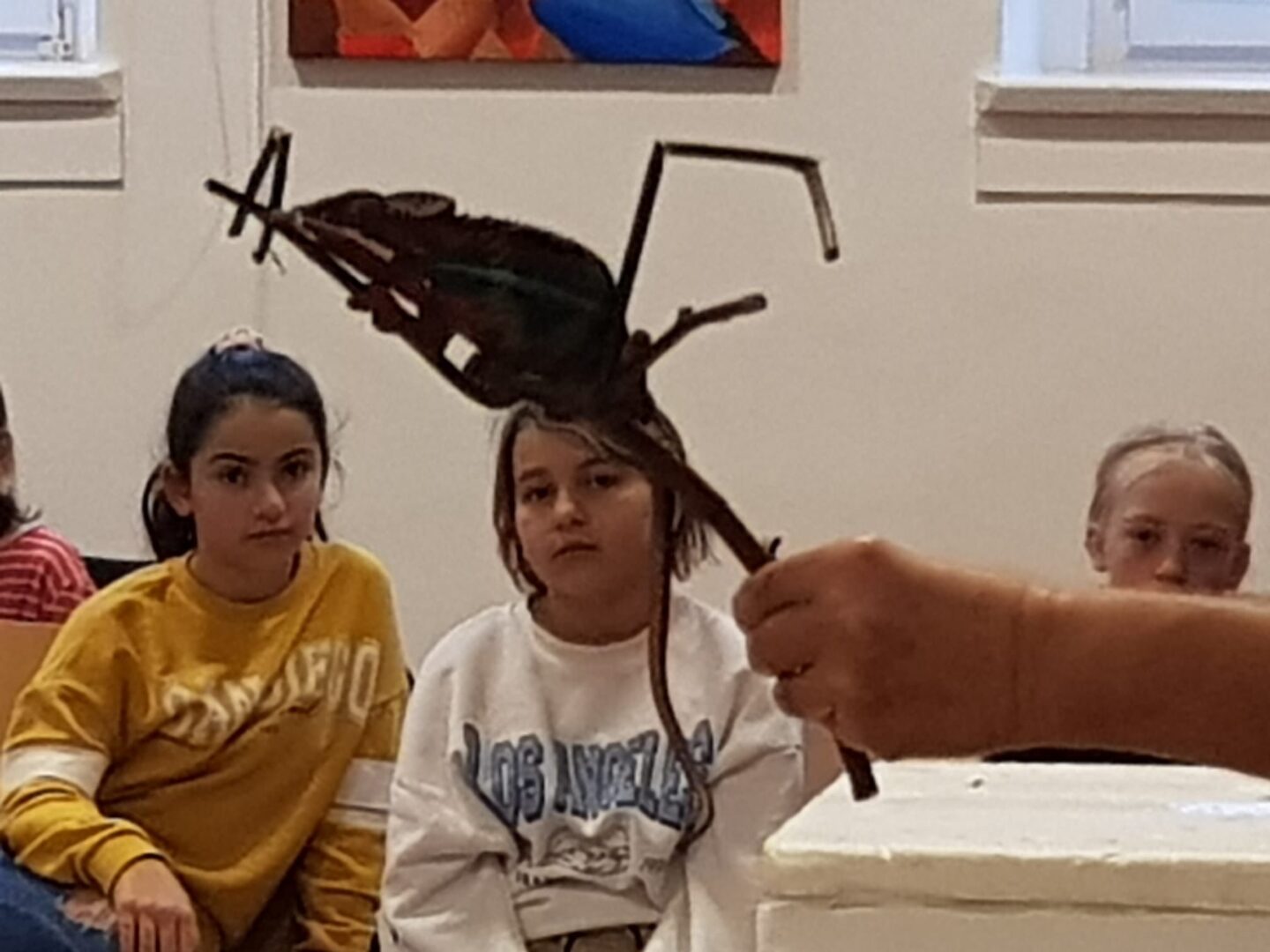 Biologie zum Anfassen