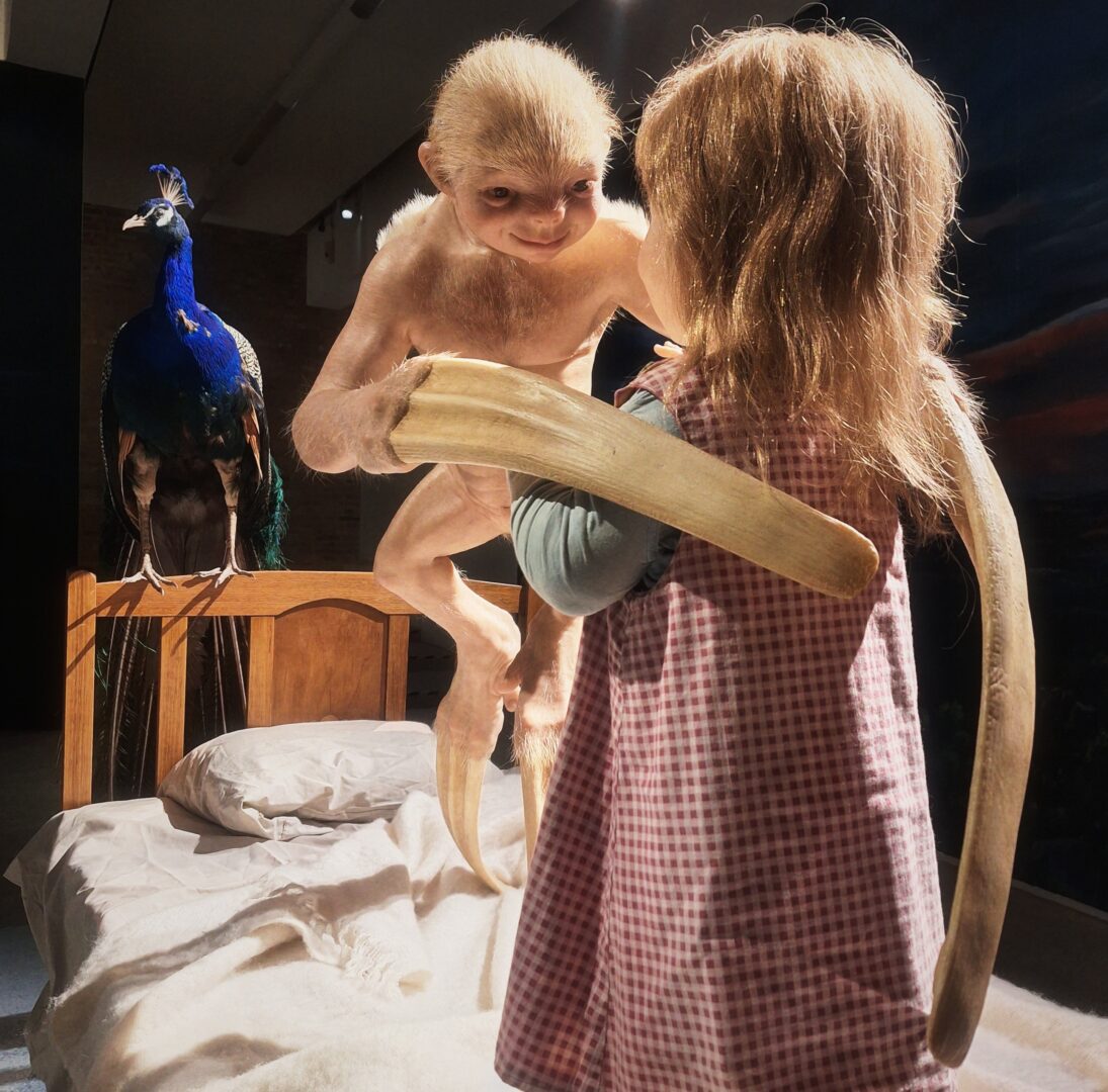 MEITU_20260127_172331655