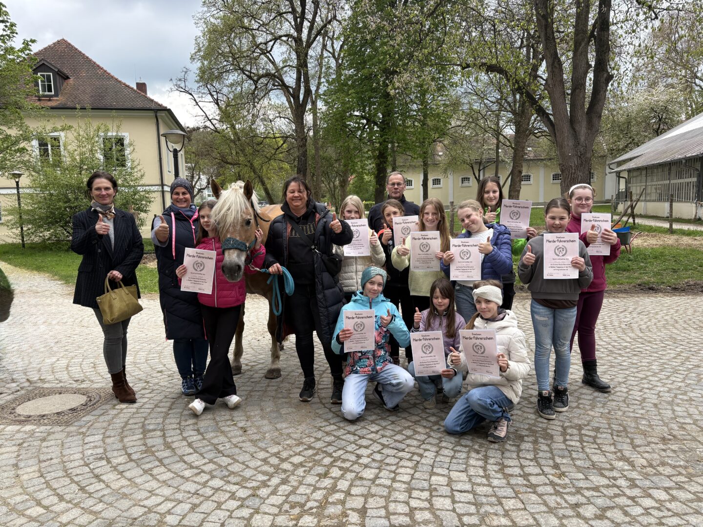 Prüfung mit Pferdestärken