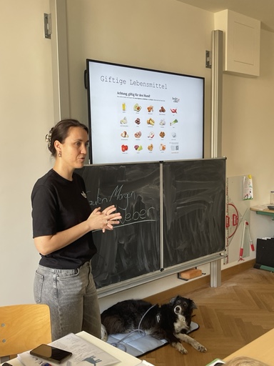 Vom Bellen und Summen – Lehrerinnen als tierische gut Experten im Einsatz